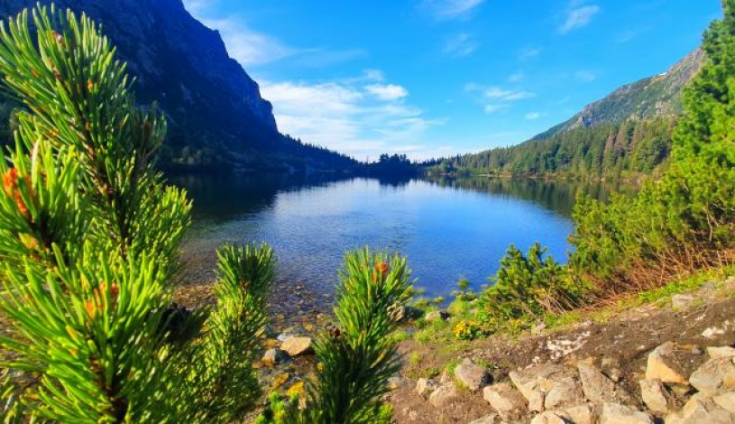 Hotel CROCUS **** Vysoké Tatry